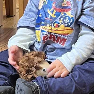 Der Igel der Igel